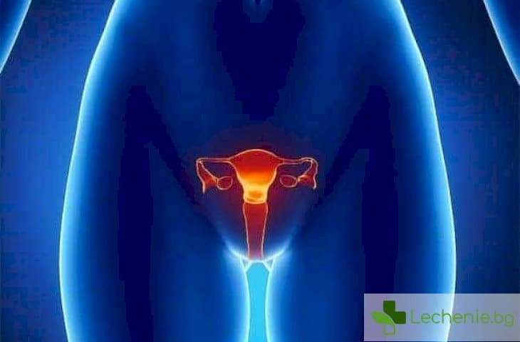 T-shape uterus (T şekilli rahim)